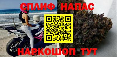 индика Кинель