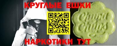 индика Кинель