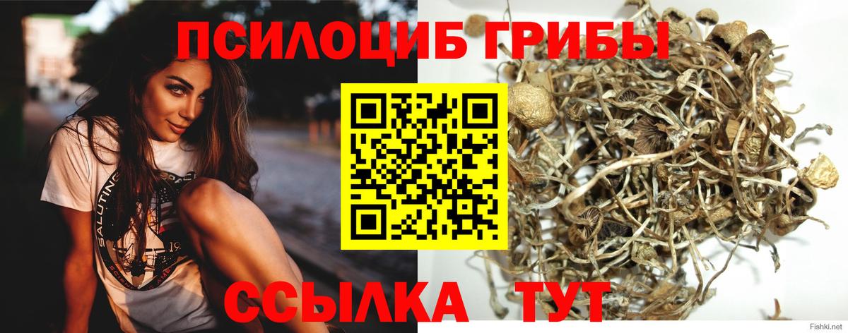Галлюциногенные грибы прущие грибы Кудрово